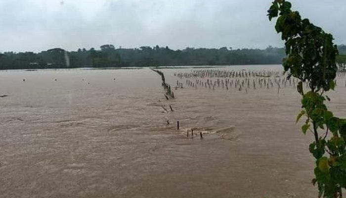 সিলেটে হু হু করে বাড়ছে বিভিন্ন নদ-নদীর পানি